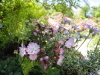 img0048.jpg