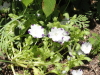 img0052.jpg