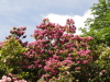 img0054.jpg