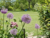 img0059.jpg