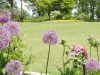 img0062.jpg