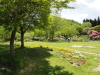 img0071.jpg