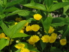 img0089.jpg