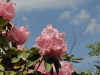 img0095.jpg