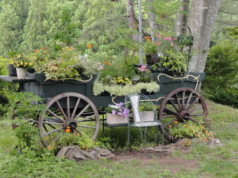 img0005.jpg