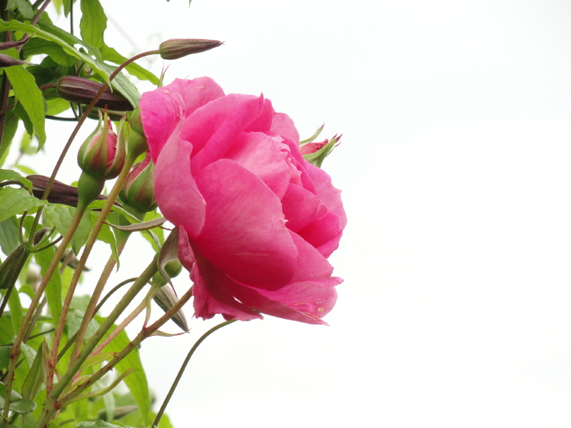 img0055.jpg