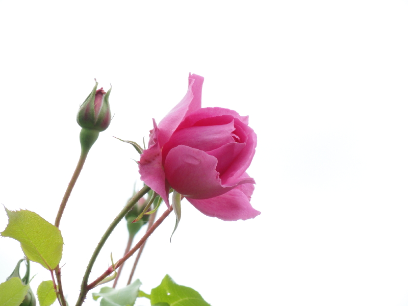 img0057.jpg