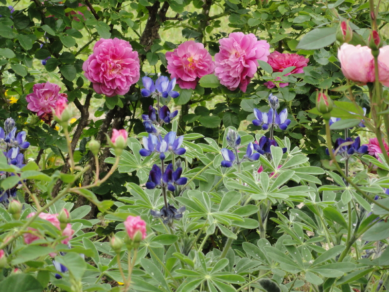 img0081.jpg