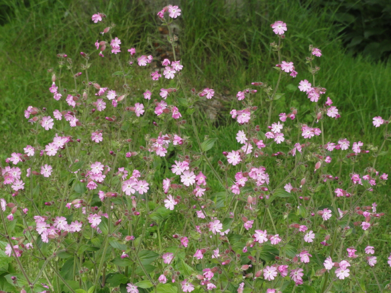 img0102.jpg