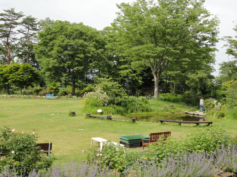 img0124.jpg