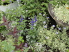 img0002.jpg