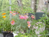 img0007.jpg
