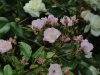 img0033.jpg