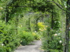 img0034.jpg