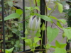 img0040.jpg