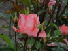 img0047.jpg