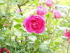 img0058.jpg