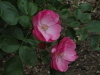 img0076.jpg
