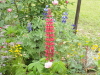 img0080.jpg