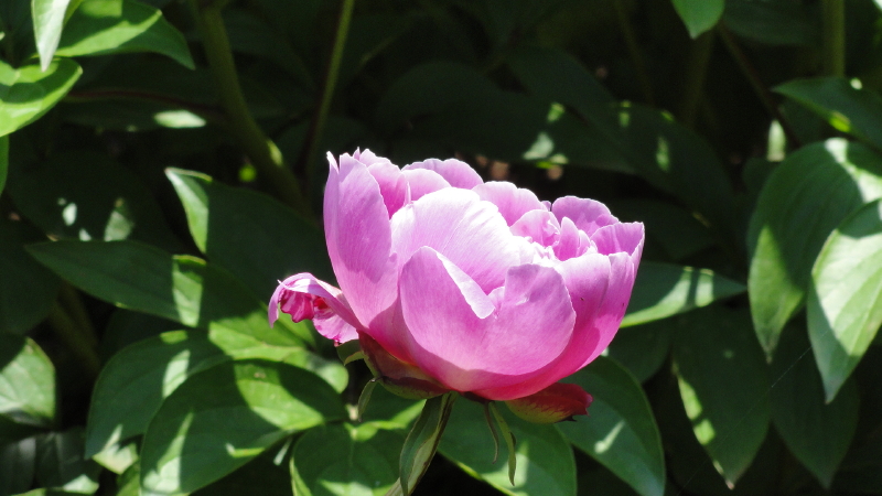 img0008.jpg