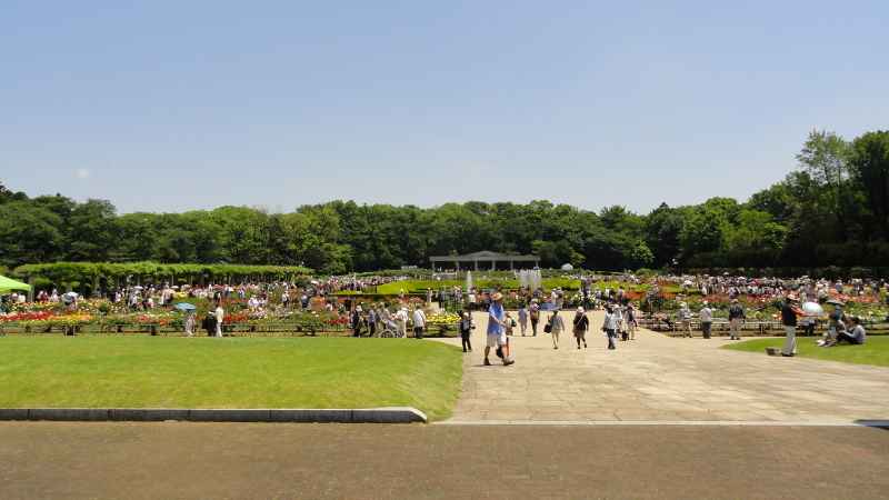 img0009.jpg