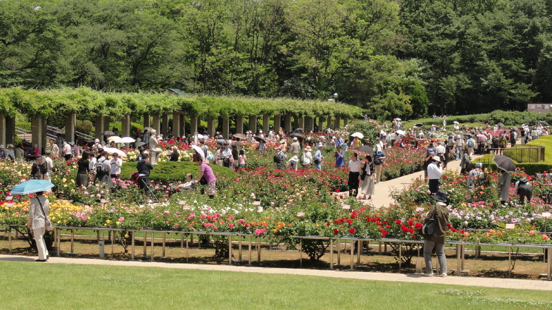 img0010.jpg