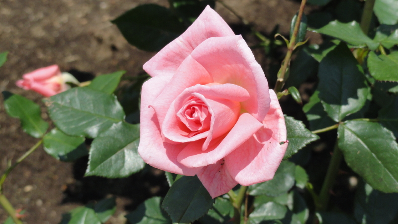 img0022.jpg