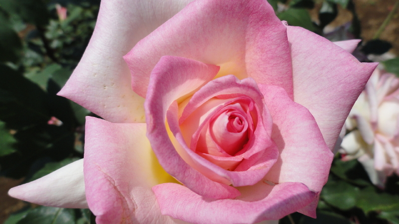 img0024.jpg