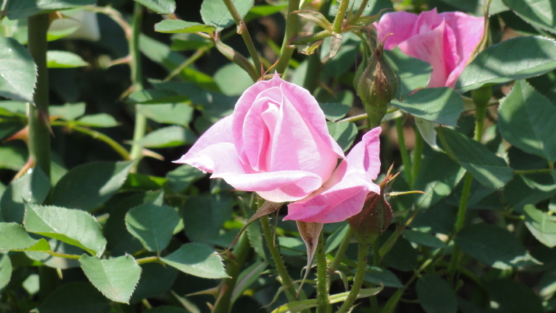 img0027.jpg