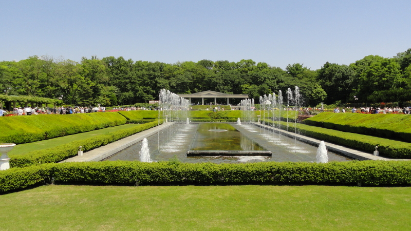 img0029.jpg