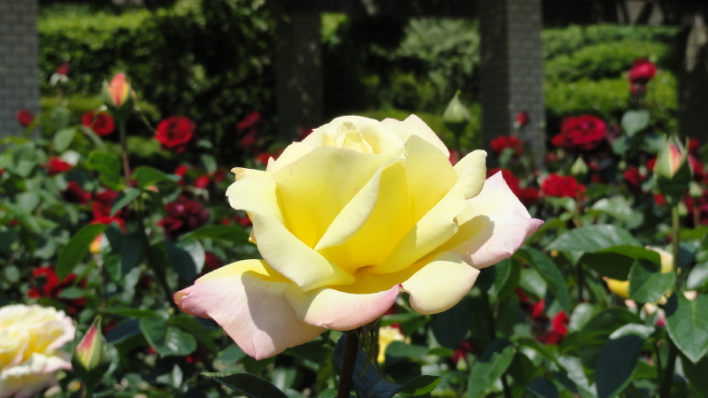 img0033.jpg