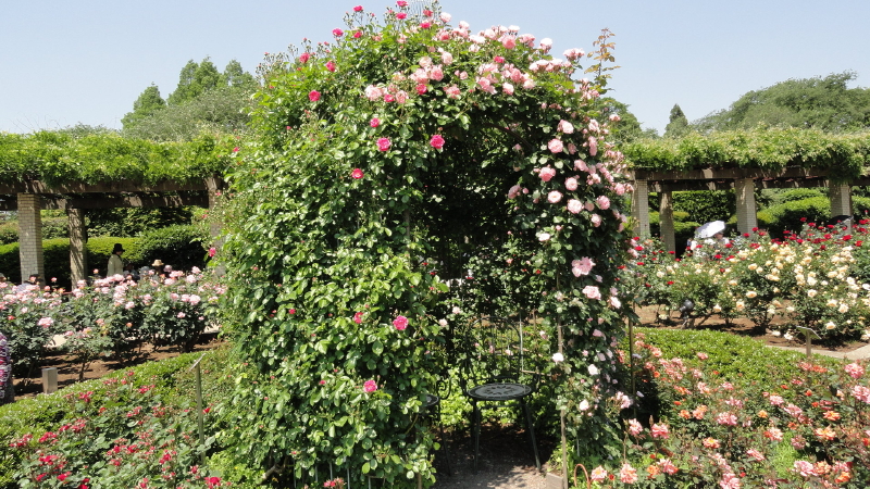 img0034.jpg