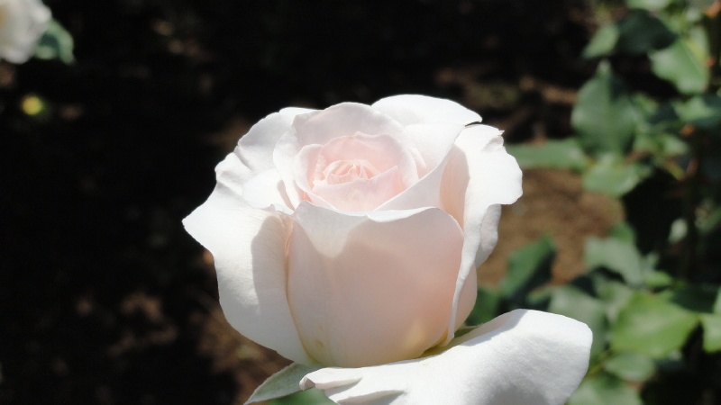 img0046.jpg