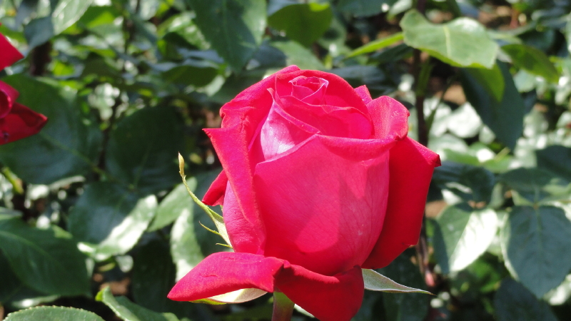 img0047.jpg