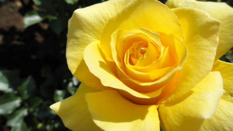 img0049.jpg