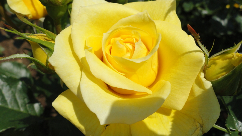 img0054.jpg