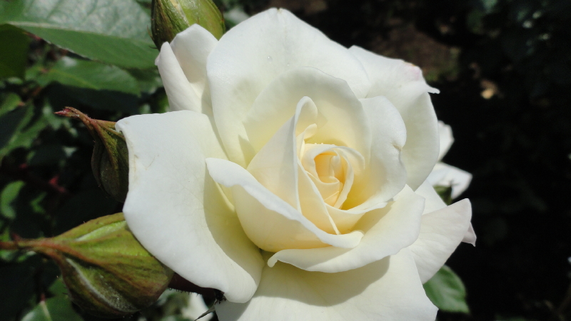 img0056.jpg