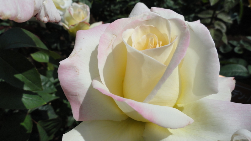 img0057.jpg