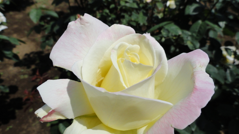 img0058.jpg