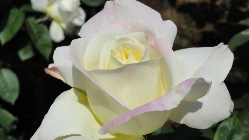 img0059.jpg
