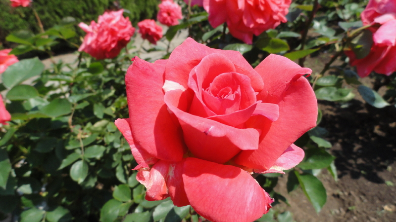 img0065.jpg