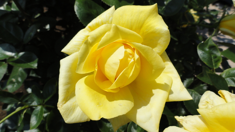 img0077.jpg