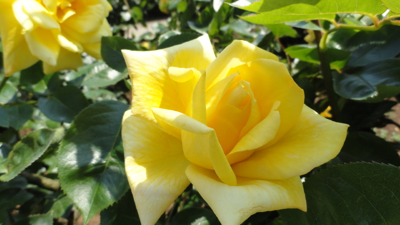 img0078.jpg