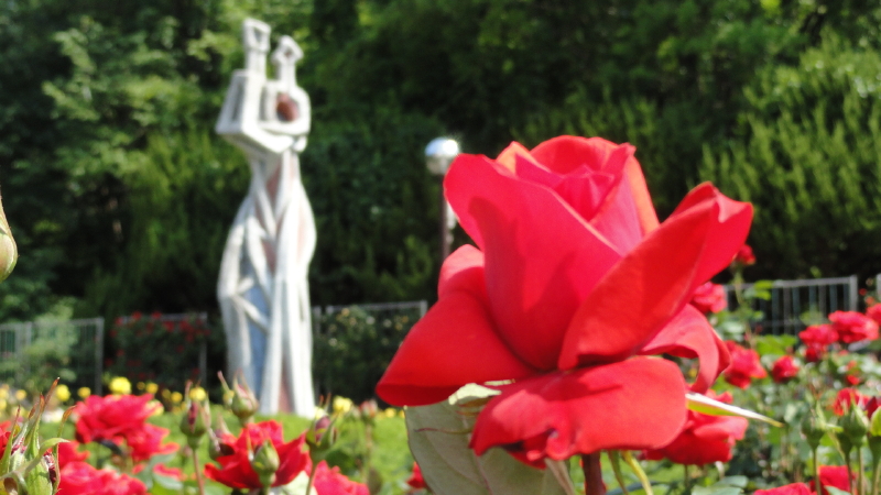 img0084.jpg