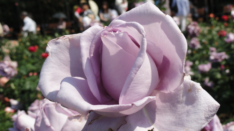 img0097.jpg