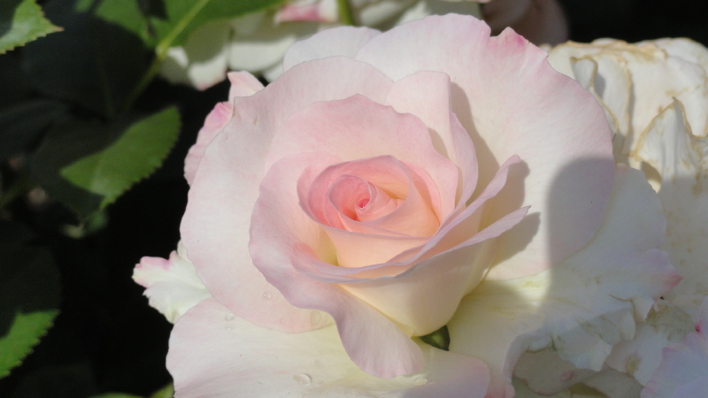 img0101.jpg