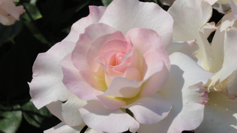 img0103.jpg