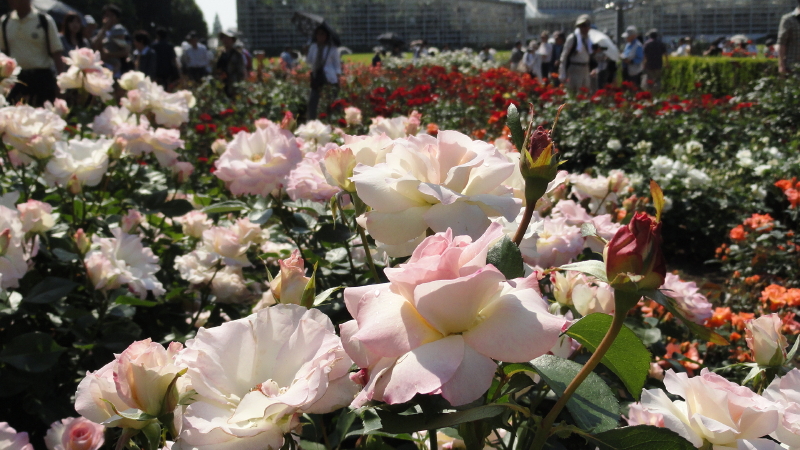 img0104.jpg