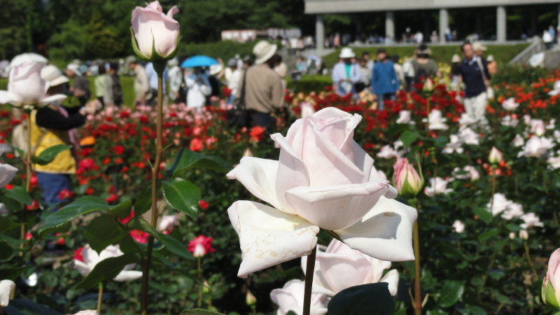 img0110.jpg