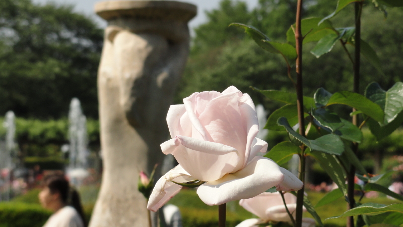 img0111.jpg